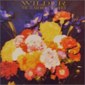 the teardrop explodes wilder