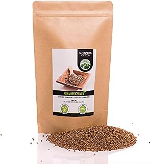 Koriandersamen (250g), Koriander ganz, 100% naturrein, Koriandersaat natürlich ohne Zusätze, vegan