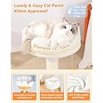 Happi N Pets Cloud Cat Tree, Cat Scratching Post with Bed, Small Cat Tree for Kittens, Cat Scratch Post with Cloud-Shaped Soft Perch & Cute Toys, Removeable Cover, Bounus Catnip - Image 4