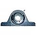 Pillow Block Bearing, Ball, 1-7/16" Bore