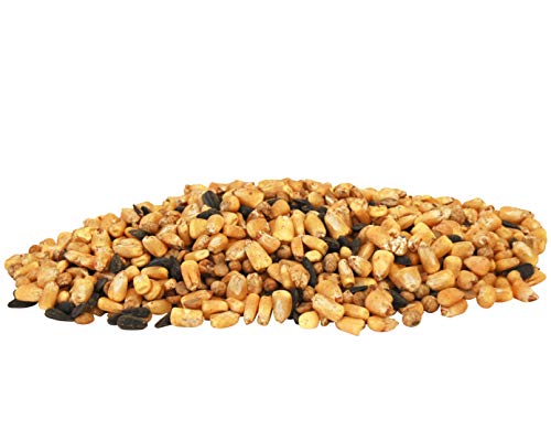 Check Out The 10 Best Corn For Deer Feed 100Lbs In 2022 You Must Try Analyze Review