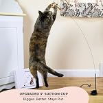 Whiskertons Interactive Bird Simulation Cat Toy Set, Interactive Cat Toys for Indoor Cats, Cat Feather Toy, Self-Holding Suction Base, 5 Replacement Birds, Feathers & Bells, Realistic Bird Impression - Image 2