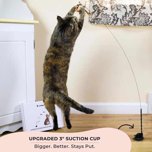 Whiskertons Interactive Bird Simulation Cat Toy Set, Interactive Cat Toys for Indoor Cats, Cat Feather Toy, Self-Holding Suction Base, 5 Replacement Birds, Feathers & Bells, Realistic Bird Impression - Image 3