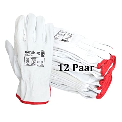 norskog PHLOX 12-120 Paar Schutzhandschuhe aus Rindsleder l Arbeitshandschuhen mit elastischen Bündchen l Handschuhe für Fahrer & Montage l ISO, CE PSA CAT II, EN 420, EN 388 (12, 10) Cover