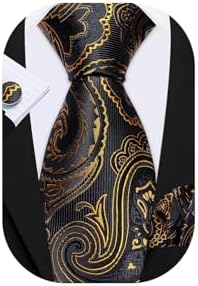 Barry.Wang Man Tie Set Pocket Square Cufflinks for Men Set Designer Ties Paisley