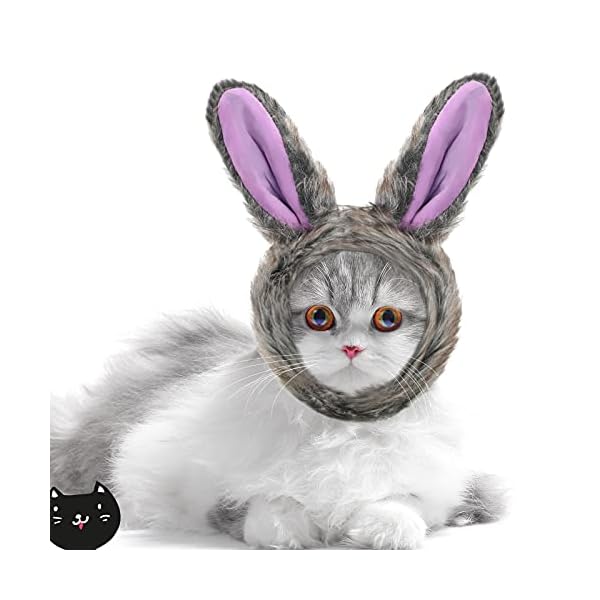 5 pieces cat hat cat dog costume cute pet hat bunny rabbit hat with ears headwear lion mane cap valentine new years day party accessory for kitten puppy dress up adjustable birthday hat (cute style) - image 7