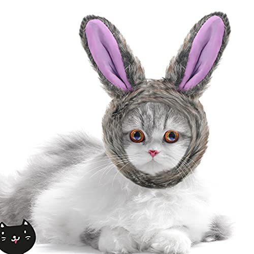 5 pieces cat hat cat dog costume cute pet hat bunny rabbit hat with ears headwear lion mane cap valentine new years day party accessory for kitten puppy dress up adjustable birthday hat (cute style) 6 5 pieces cat hat cat dog costume cute pet hat bunny rabbit hat with ears headwear lion mane cap valentine new years day party accessory for kitten puppy dress up adjustable birthday hat (cute style) - image 7