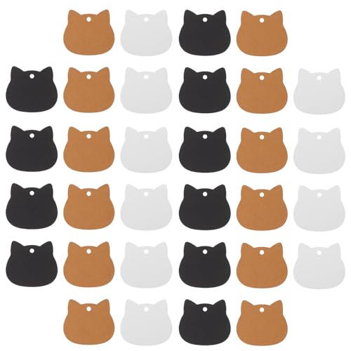 MOLUCKFU 300L`Ntg^O ݉\ȋ玆v[gx  a NX}X p[eB[p A[gNtgp