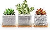 T4U 9.2 CM Maceta Suculenta de Cemento, Jardinera de Hormigón Planta de Cactus Contenedor de Hierbas para Jardinería Decoración Regalo para Cumpleaños o Boda, Conjunto de 3