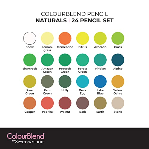 Spectrum Noir Colorblend Pencils-24 Pc Colourblend Premium Blendable Artists Pencils, Naturals, Pack Of 24, Beige #TOP3