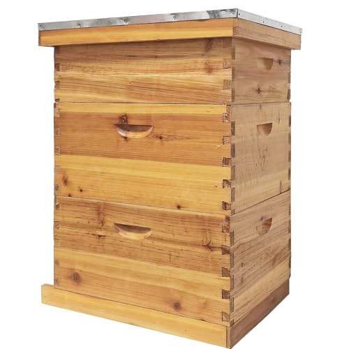 XJADQW 10 Frame Langstroth Beehive Kit - Beeswax Coated 3-Layer Bee Hive (2 Deep Brood + 1 Medium Super) Professional Wood Box Frames NOT Included