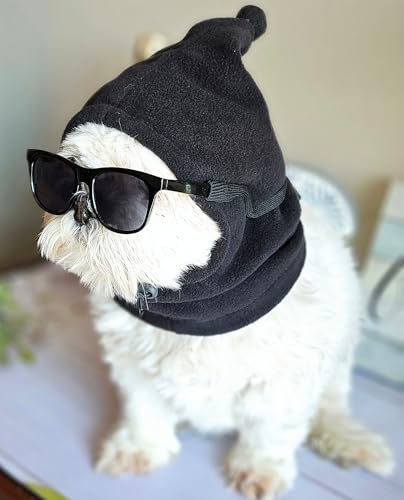 Disfraz set retro para perro pequeño a mediano miniatura 3