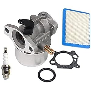 Carburateur vernieuwen NIEUW 799872 790821 Carburateur Carbet met 491588 399959 Luchtfilter en bougie voor Briggs & Stratton-motoren Compatibele carburateur