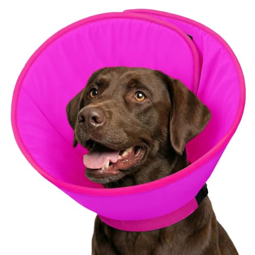 Image of Dog Cone, Soft Cone for Dogs to Stop Licking with Adjustable Buckle