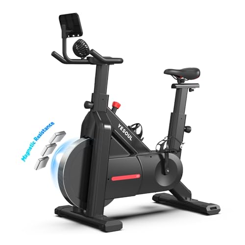 YESOUL Self-Powered-Fan Exercise Bike with Dynamic LED Light Effects, Pro Livestreaming Classes,...