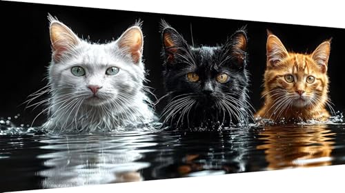 Kit diamond painting XXL paysage de lac et chat fresque murale 5D haut de gamme