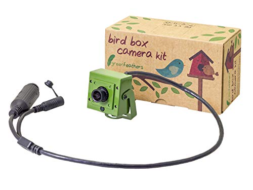 Green Feathers 1080p HD PoE Vogel Box Kamera mit mobilem Zugriff - Power-over-Ethernet, kein Netzteil
