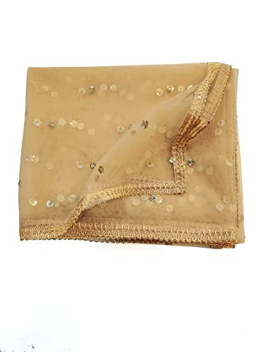 Studio-Shringaar-Womens-Net-Embroidered-Full-Size-Dupatta-42-X-250-Meters