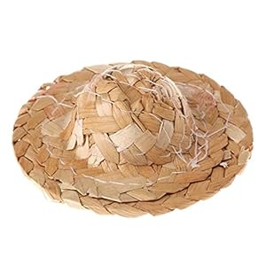 5 stks handgemaakte stro geweven huisdier vogels hoed verstelbaar voor papegaai kleding modieuze accessoires CHAOCHAO…