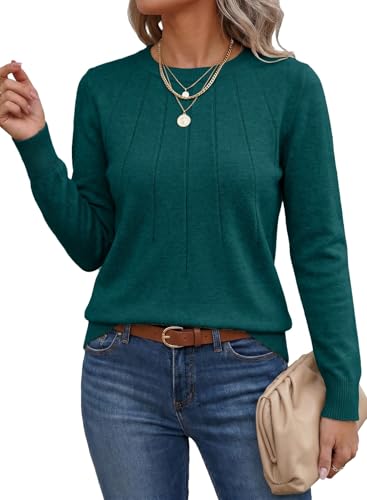 Image of SHEWIN Womens Sweaters 2026 Casual Crewneck Long Sleeve Lightweight Knit Pullover Sweater Tops Fall Clothes