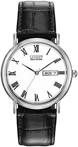 Citizen Eco-Drive Men's Strap Watch