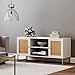 Nathan James Mina Modern TV Stand, Entertainment Cabinet, Console with a Natural Rattan Storage Doors, Finish Brass Accents for Living Media Room, Matte White/Gold