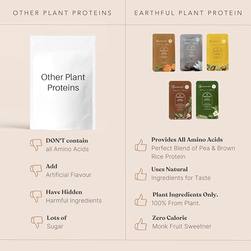 Image of Earthful Honest Plant Protein - Assorted Pack | Daily Use Sachet Pack of 10 | For Weight Management, Energy, Muscle Support & Recovery | 24g Protein Per Serving | Made With Pea & Brown Rice