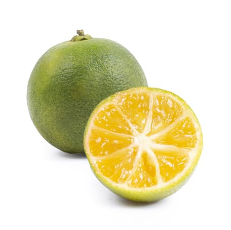 100pcs Green Calamansi Fruit Seeds