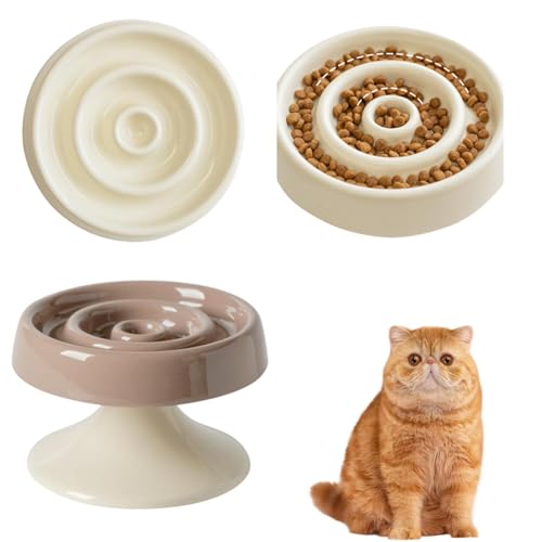 Lifetips GL]`bNV[gwAL GL] Lp X[t[h{E ؐ Hh~ ~ HZbg ^ L  􂢂₷ i-̌^^CvJuEj