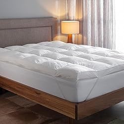 Buddemeyer Vision Fill Gold Pillow Top