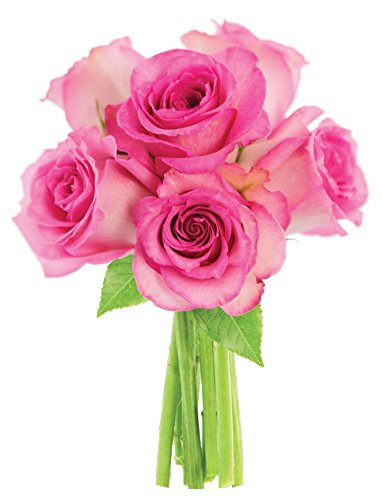 KaBloom PRIME NEXT DAY DELIVERY - Fall Collection - Sweet Pink Bouquet of 6 Fresh Cut Pink Roses (Farm-Fresh, Long-Stem).Gift for Birthday, Sympathy, Valentine, Mother’s Day Fresh Flowers