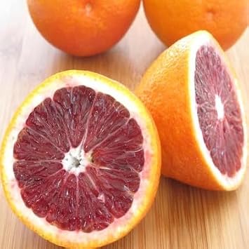 Moro Orange Red Fruit Seeds 60pcs