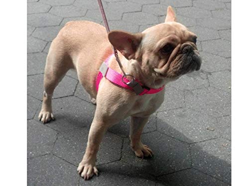 Walk Your Dog With Love No-Choke No-Pull Front-Leading Dog Harnesses - Sportso Doggo Edition-Bright Pink-18-35 lbs (8-16 kg)