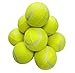 LLB SPORTS 硬式テニスボール 12球 バッグ付き