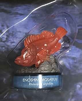新江ノ島水族館立体生物図録　ナミダカサゴ　新品未開封　日本水族館立体生物図録 41MAqolCIQS._UF350,350_QL50_.jpg