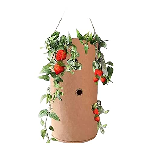 Uposao Sacco per Piantare Sacchi Piante Borse per Piantare Fragole Fioriera per Fragole Sospesa in Feltro con Manici per Coltivare Pomodori Erbe Fiori Fragole