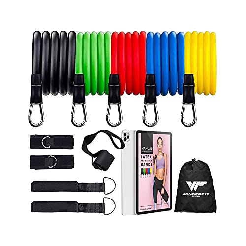 Bandas de Resistencia | 5 Niveles de Resistencia | Látex de Alta Resistencia | Accesorios