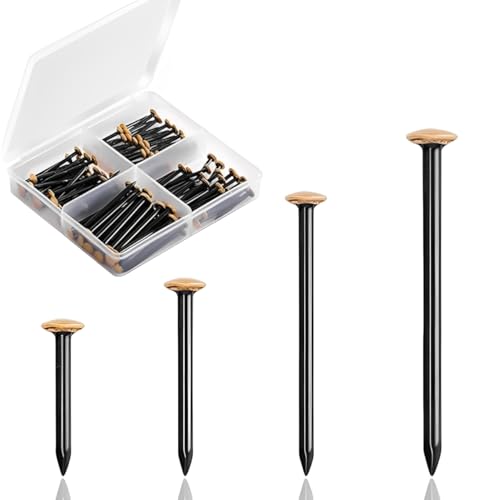 160 Pièces Clous, Clou Beton Mur, Petit Clou Pour Cadre, Petit Clou, Avec Boîte De Rangement, Cadre Photo Suspendu, Adapté Aux Murs En Béton, Décoration De La Maison, Bois (20+25+30+40mm)