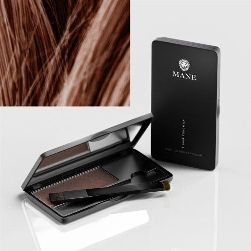 Mane Hair Touch Up to Cover Roots, Conceal Bald Spots, Fill in Beards and Fine Hair Lines - 6 shades (Black)