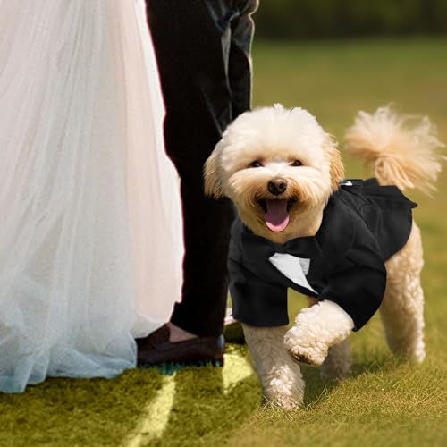 CITÉTOILE Hunde Hochzeit Anzug Set, Smoking Hemd mit Fliege Party Kleidung, Hochzeit Geburtstag Party Halloween Hundeanzug für Kleine Mittlere Große Hunde Katze, Schwarz, L