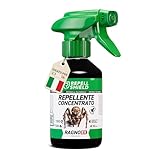 RepellShield® Spray Ragni e Ragnatele per Porte, Finestre, Battiscopa, Angoli - 250ml - Non Macchia - con Menta Piperita - Alternativa a Insetticida Ragni, Ragnicida e Veleno per Ragno Violino
