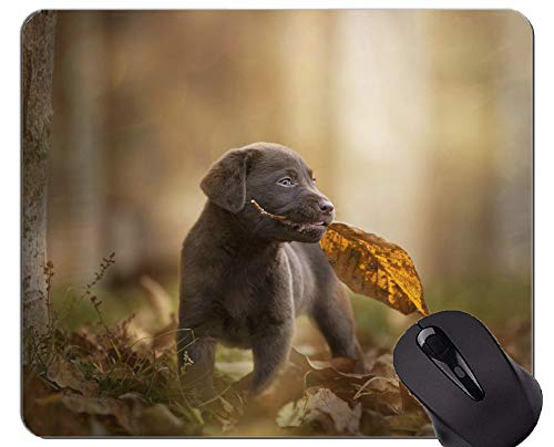 Tappetino per mouse da gioco in gomma naturale stampato con cucciolo di cane Labrador cucciolo - Bordi cuciti
