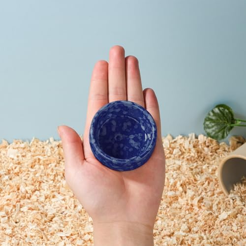 VanEnjoy 2 Pack Ceramic Guinea Pig Food Bowl Dotted Pattern Small Animal Feeding and Watering Supplies for Cage Cute Navy Blue Hamster Water Dish for Chinchilla Ferret Bunny - Image 5