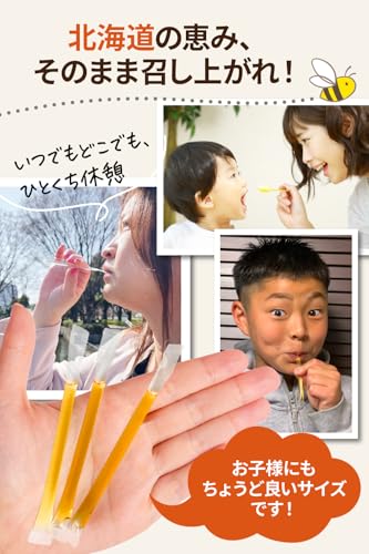大地のたから 北海道産 ハチミツ スティック の商品画像 2