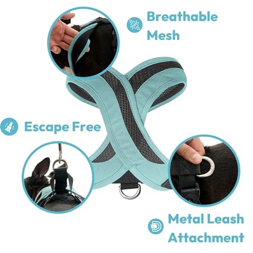 Image of Gooby Comfort X One Dog Harness, Choke-Free, Miami Yellow, Medium | Escape-free contracting fit; Choke-free deep V-neck; Snap & swivel buckles; Shock-absorbing; Breathable mesh