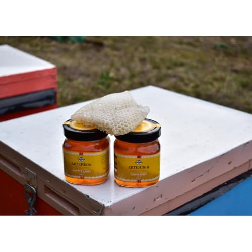 Image of Artemisio Greek Honey Raw Unfiltered - Natural Sweetener for Tea, Greek Yogurt, Cheese Boards, Baking & Breakfast - Pine Honey Jar 16oz-470g (Pack of 1)