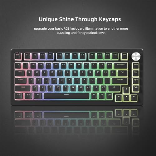 LQXQ Pudding Keycaps PBT, keyboard 100 percent 130 Keys, Shine Through Keycaps OEM Profile for 100%, 75%, 65%, 60% MX-stem Switches Keyboards-Black - Image 2