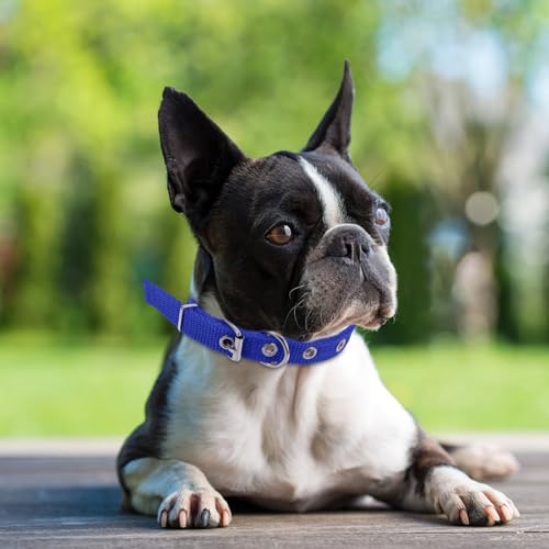 Collar para mascotas ajustable azul pequeño de poliéster miniatura 5