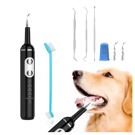 Stim-U-Dent Dog Plaque Remover Kit