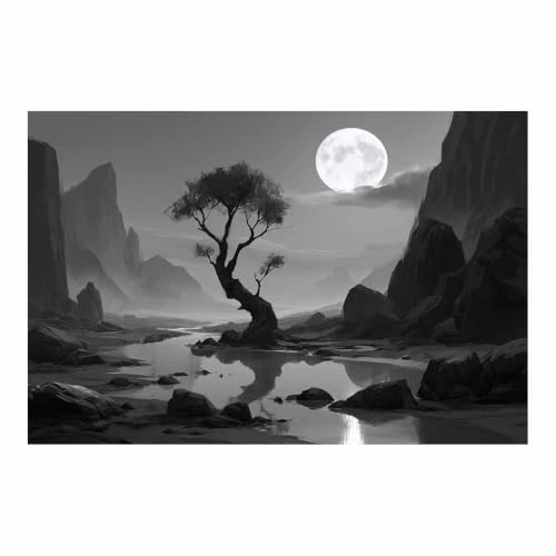 Peinture sur toile noir et blanc affiche murale paysage lune deco maison chambre 40x60